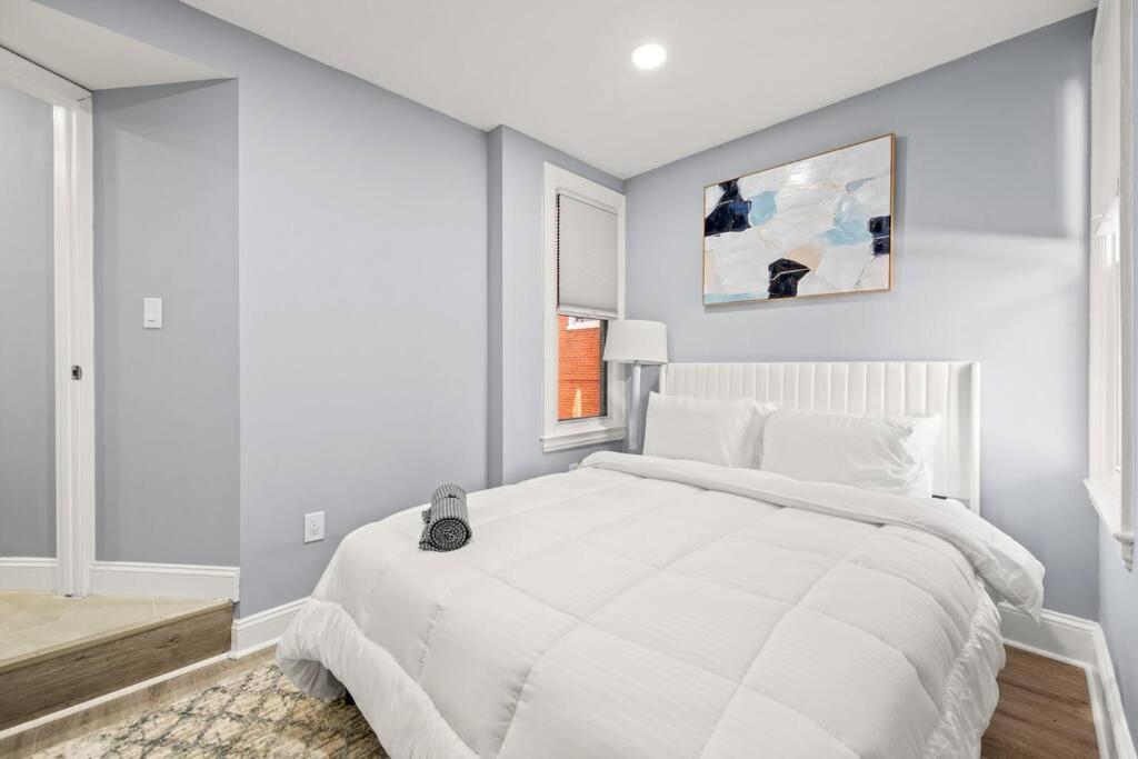 New! Cozy Apt In Center City! Philadelphia Kültér fotó